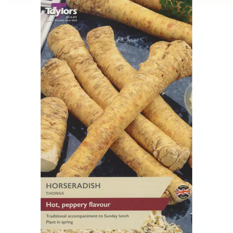Horseradish