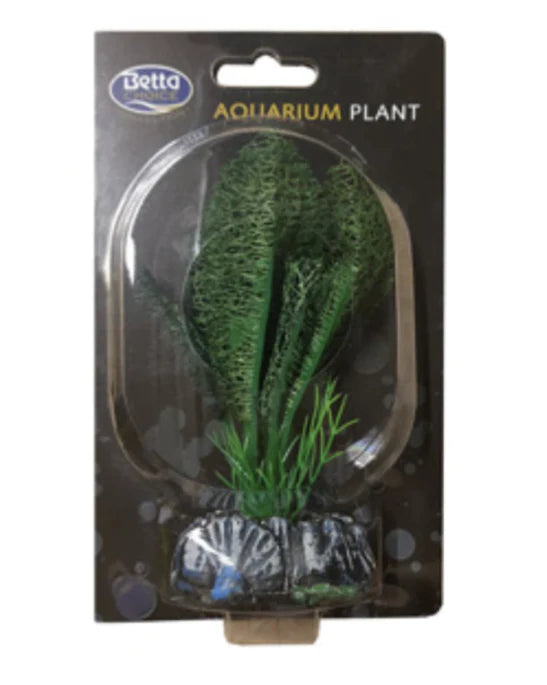 Betta Silk Green Lace Plant (13cm)