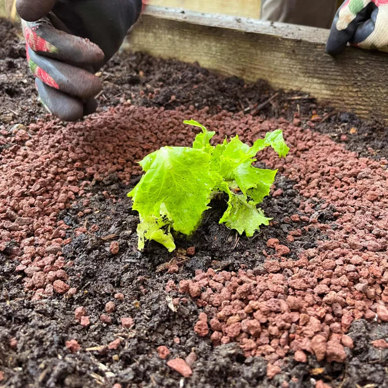 SlugClear Organic Slug Barrier 2.5kg