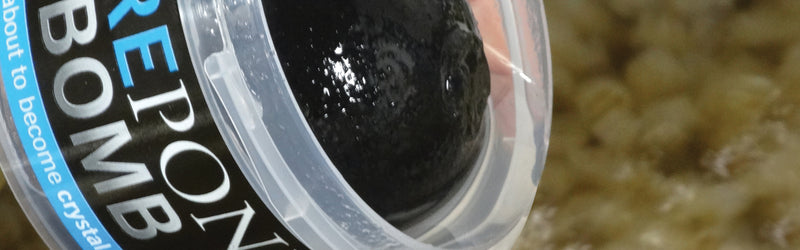 Evolution Aqua Pond Bomb