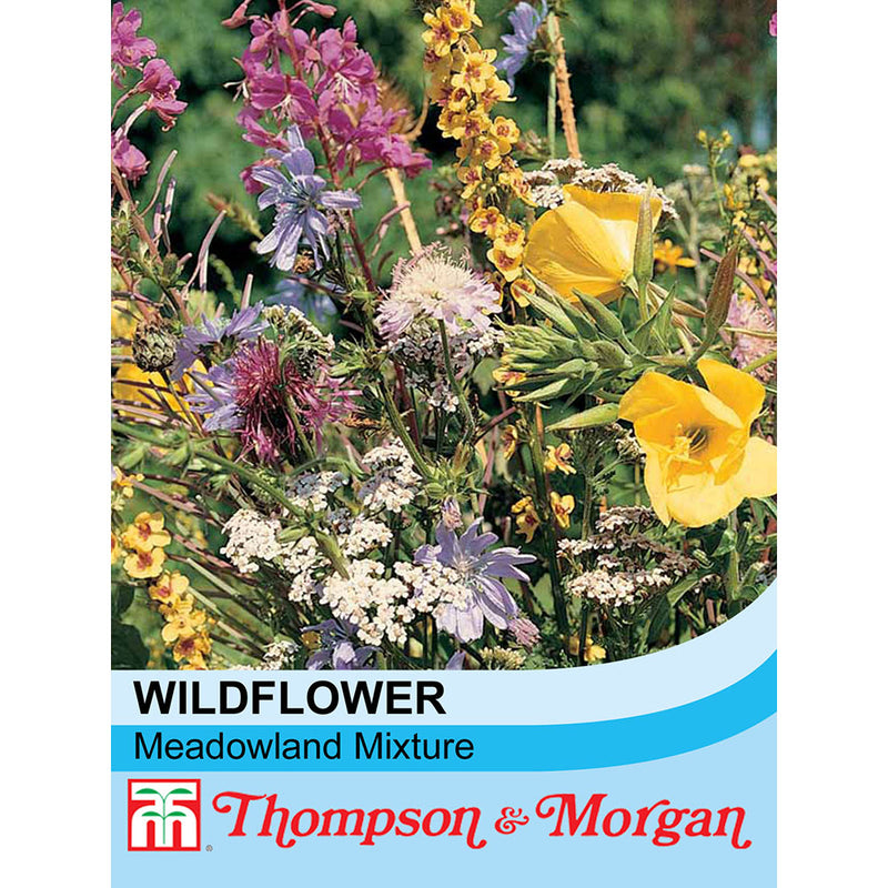 Wild Flower Meadowland