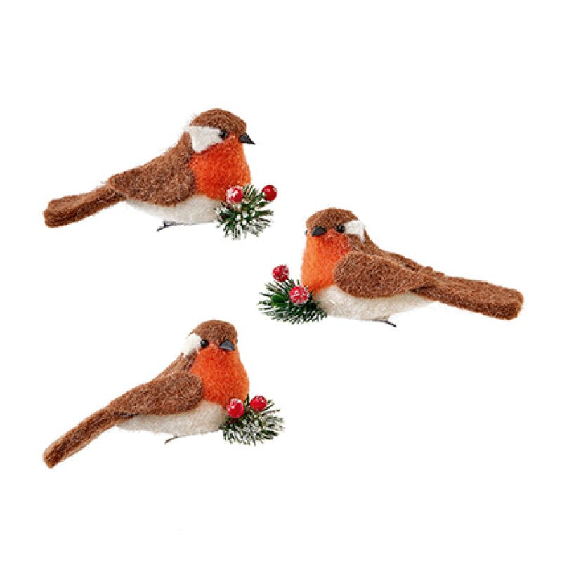 Robin Birds