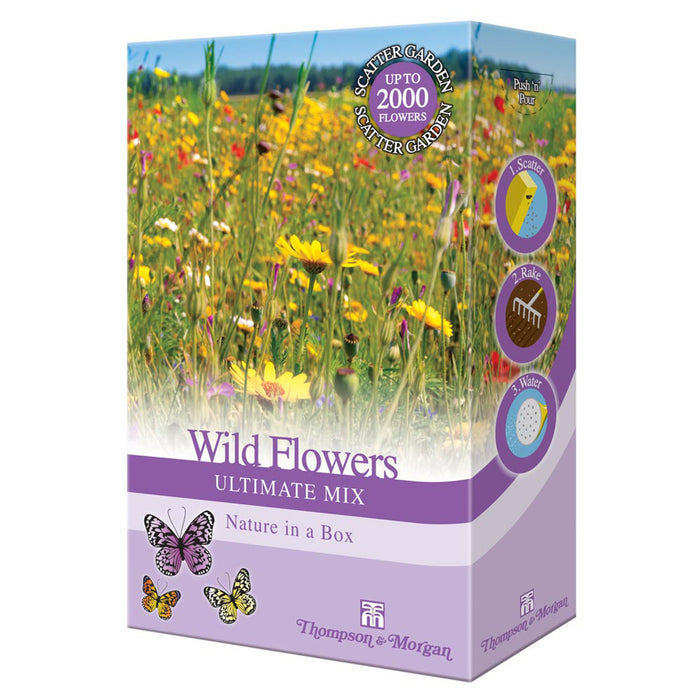 Bee Friendly - Wild Flower Ultimate Mix
