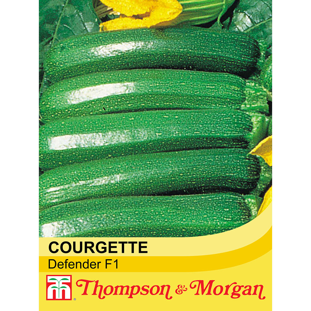 Courgette 'Defender' F1 Hybrid — Newlands Garden Centre
