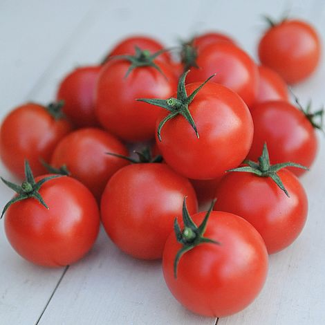 Tomato 'Gardener's Delight'