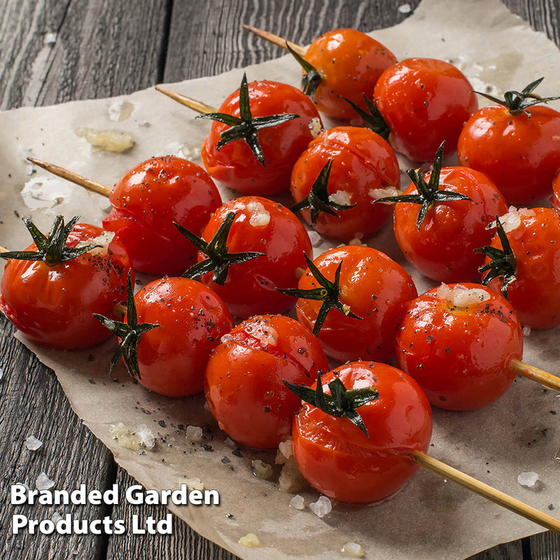 Tomato 'Consuelo' (Crimson Cherry)