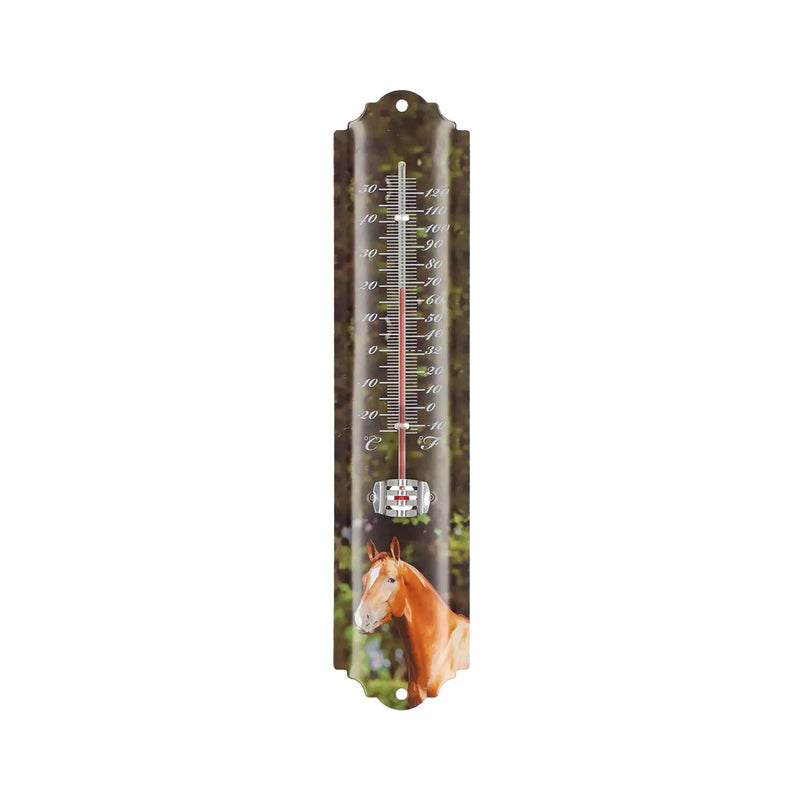 Esschert Farm Animal Garden Thermometer – Assorted Designs