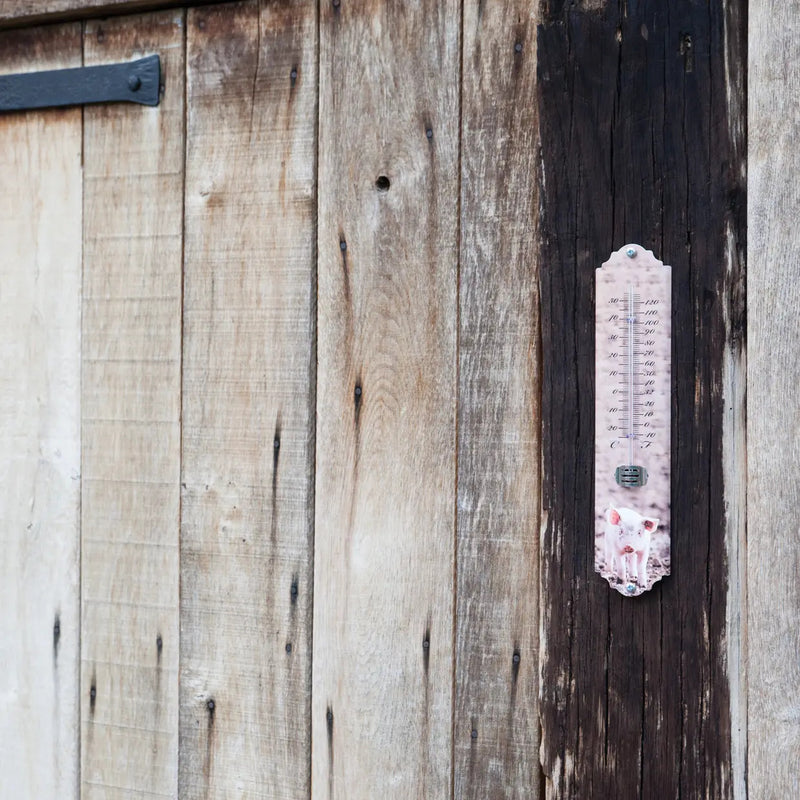 Esschert Farm Animal Garden Thermometer – Assorted Designs