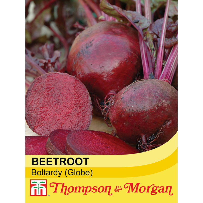 Beetroot 'Boltardy' (Globe)