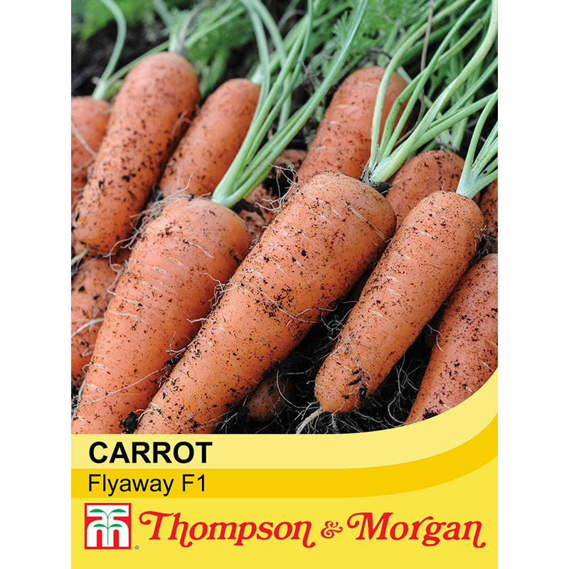 Carrot 'Flyaway' F1 Hybrid