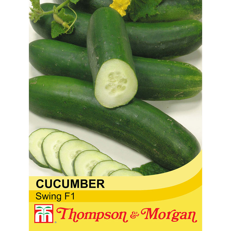 Cucumber 'Swing' F1 Hybrid