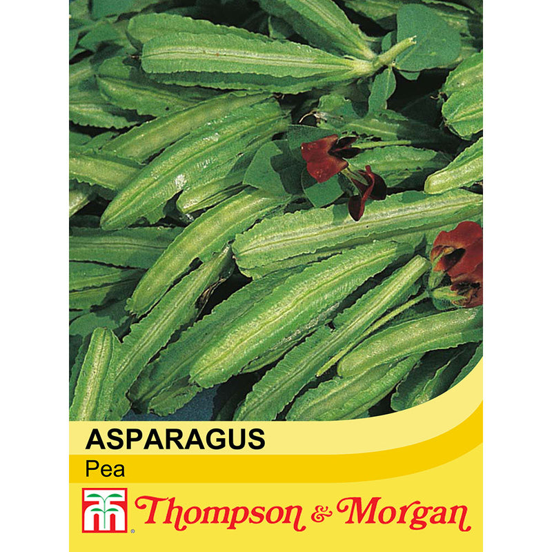 Asparagus Pea
