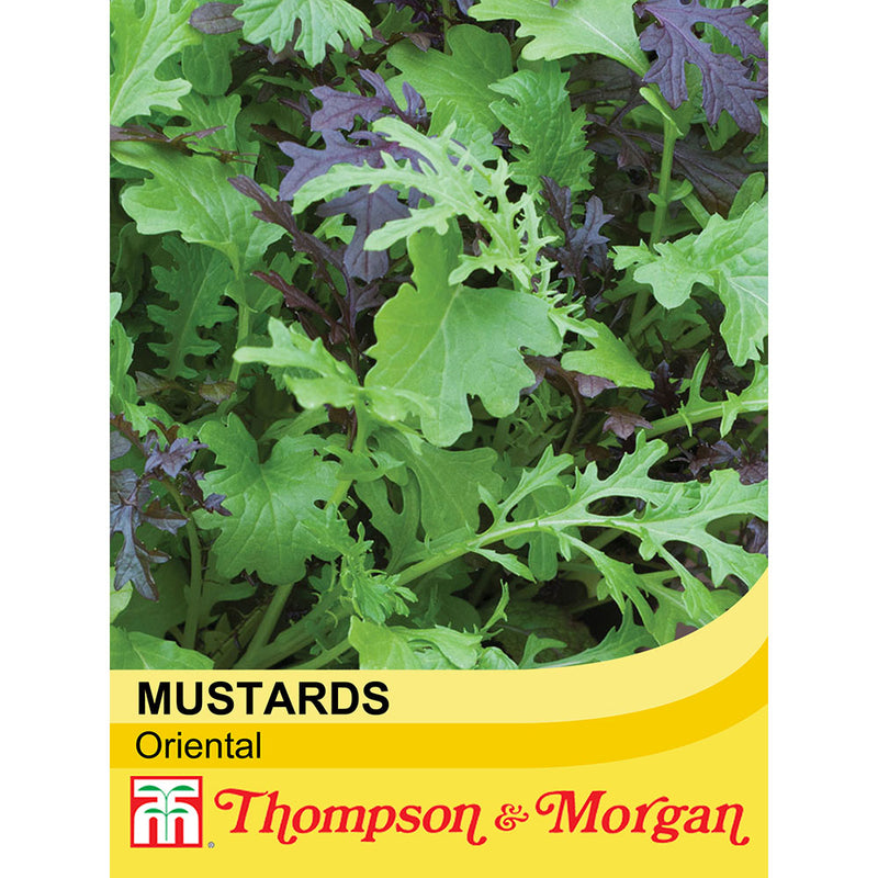Salad Leaves Oriental Mustards