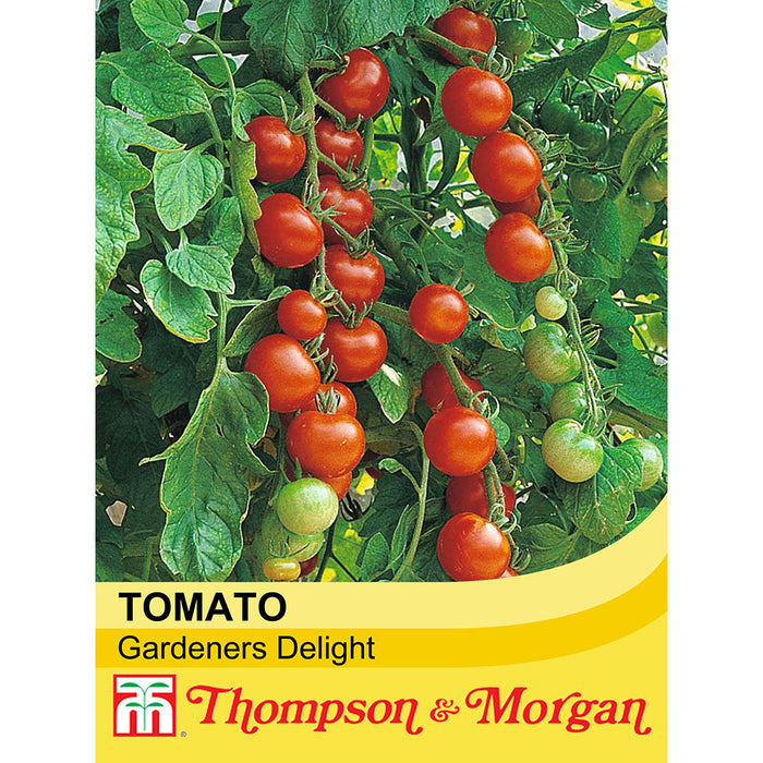 Tomato 'Gardener's Delight'