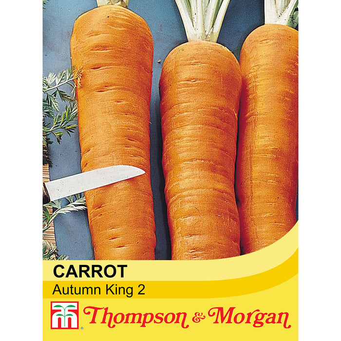 Carrot 'Autumn King 2'