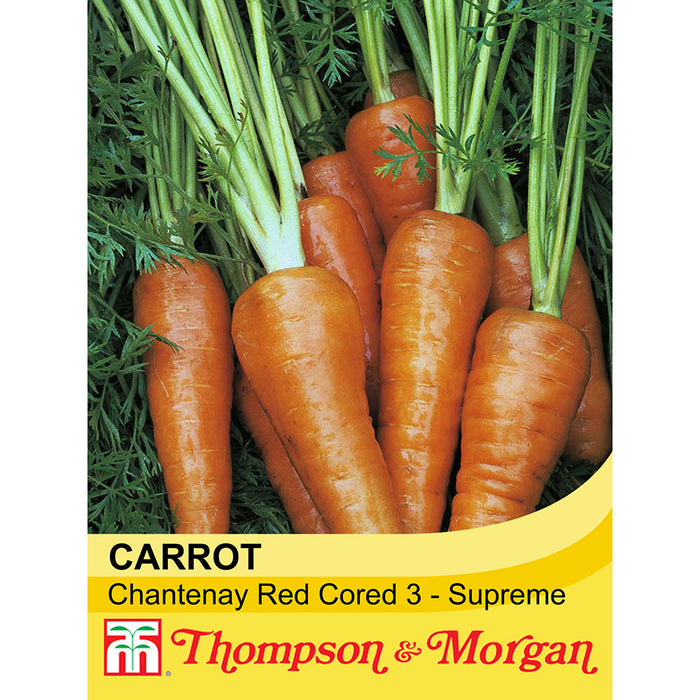 Carrot 'Chantenay Red Cored 3 - Supreme'