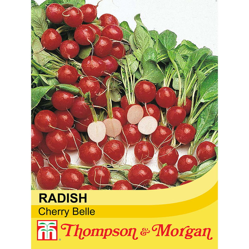 Radish 'Cherry Belle'