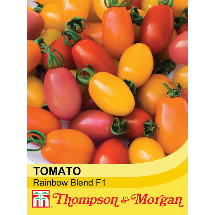 Tomato 'Rainbow Blend' F1 Hybrid