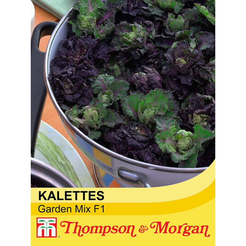 Kalettes® Garden Mix F1