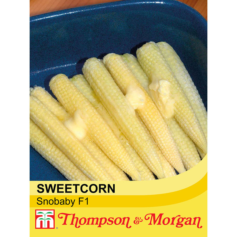 Sweetcorn 'Snobaby' F1 Hybrid