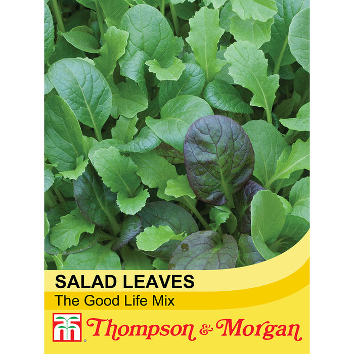 Salad Leaves 'The Good Life Mix'