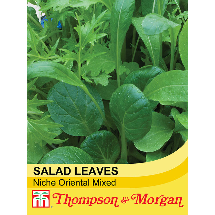 Salad Leaves Oriental Mix