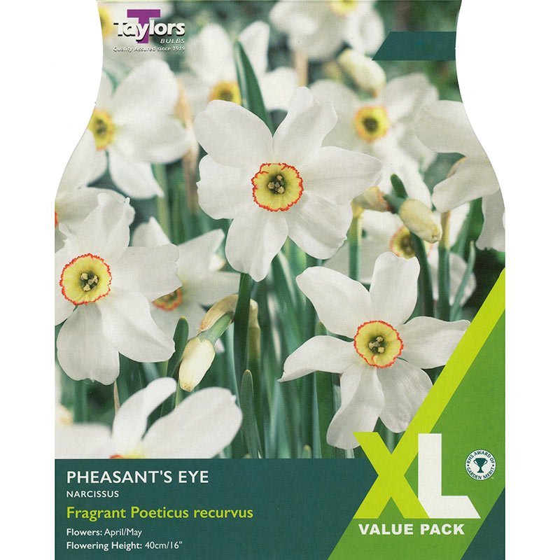 Daffodil Narcissus 'Pheasants Eye' (12 Bulbs Per Pack) XL127