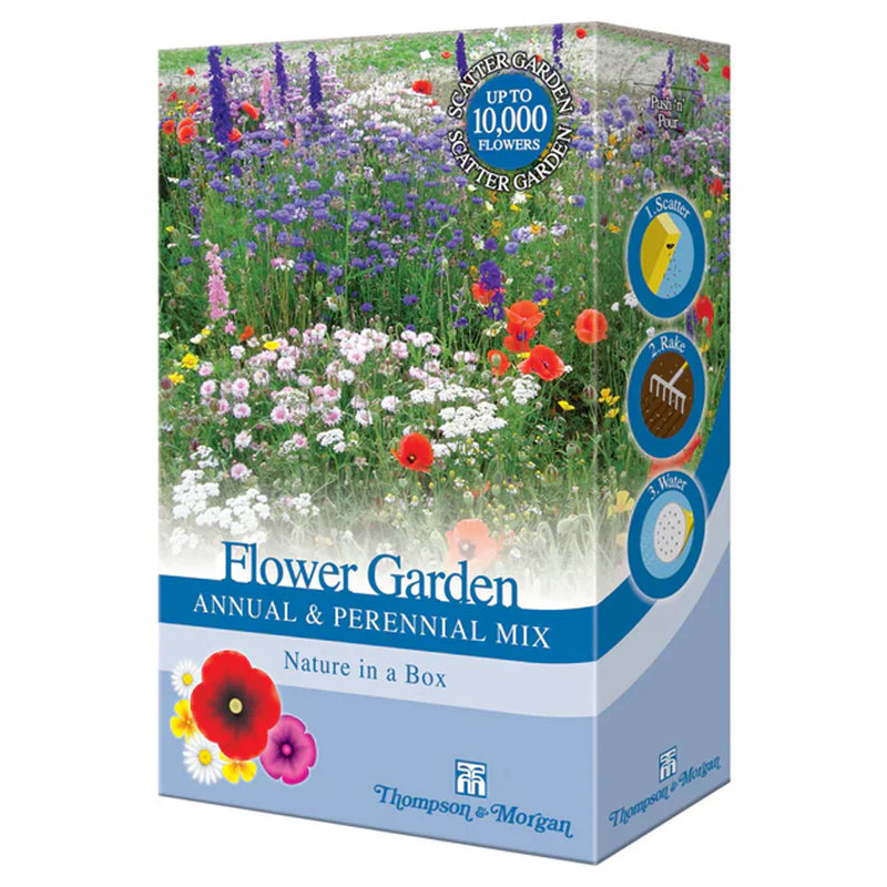 Thompson & Morgan Bee Friendly - Flower Garden Annual & Perennial Mix