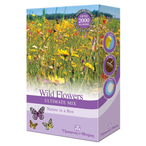 Thompson & Morgan Bee Friendly - Wildflowers Ultimate Mix