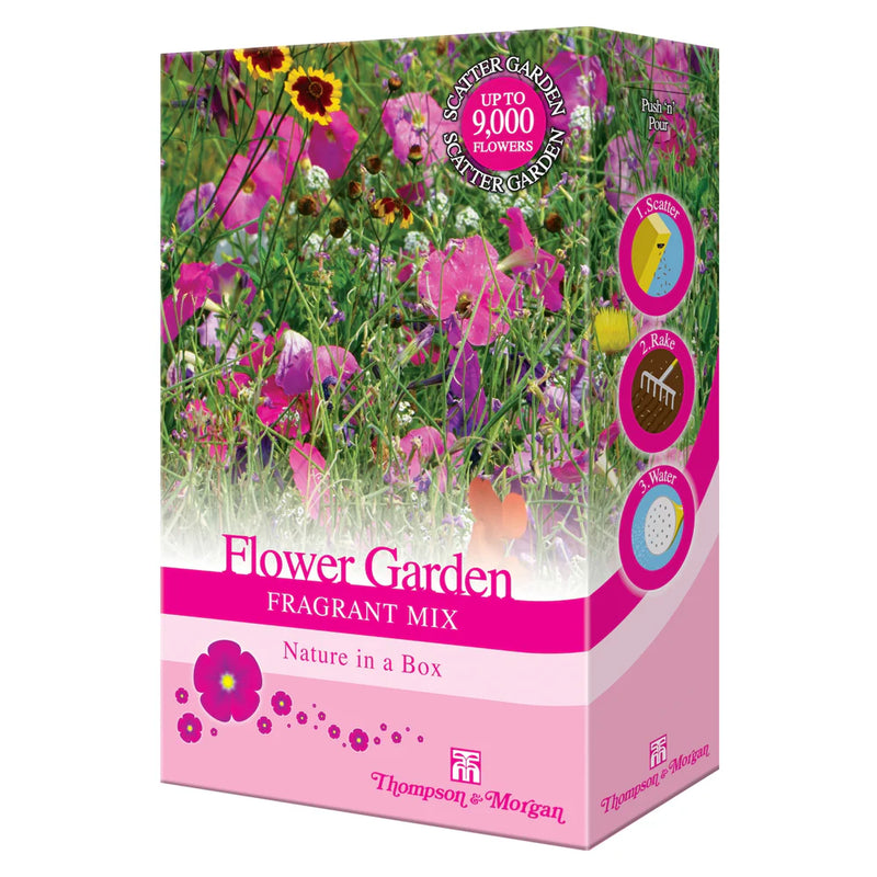 Thompson & Morgan Flower Garden Fragrant Mix