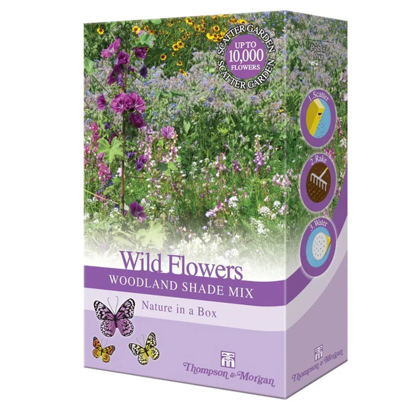 Thompson & Morgan Bee Friendly - Wildflowers Woodland Shade Mix