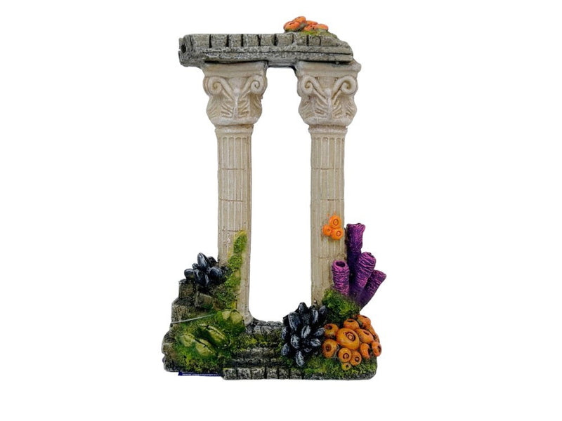 Twin Roman Column with Corals 6"