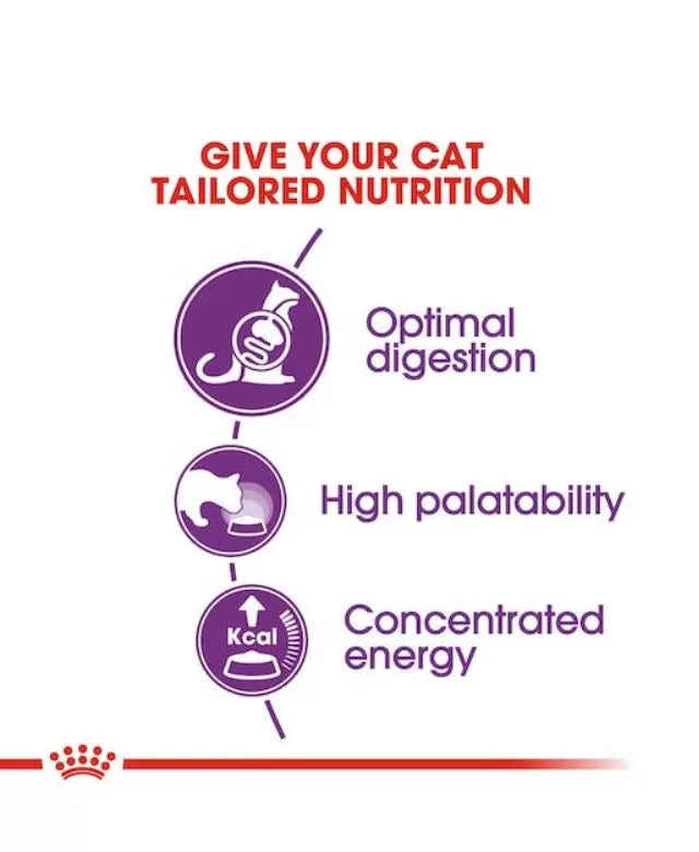 Royal Canin Sensible 33 Cat Food 2kg