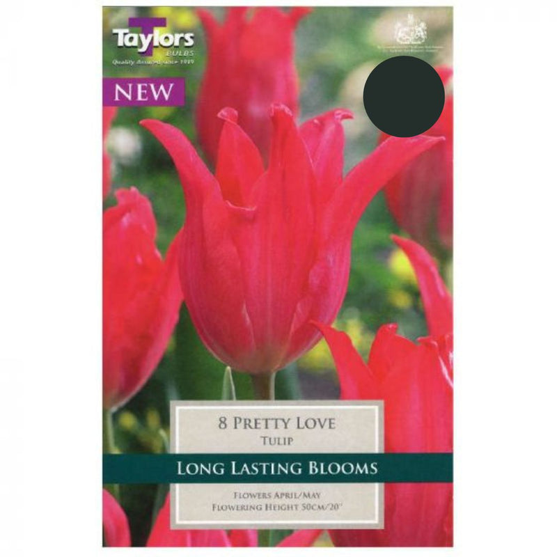 Tulip 'Pretty Love' Bulbs (5 pack)