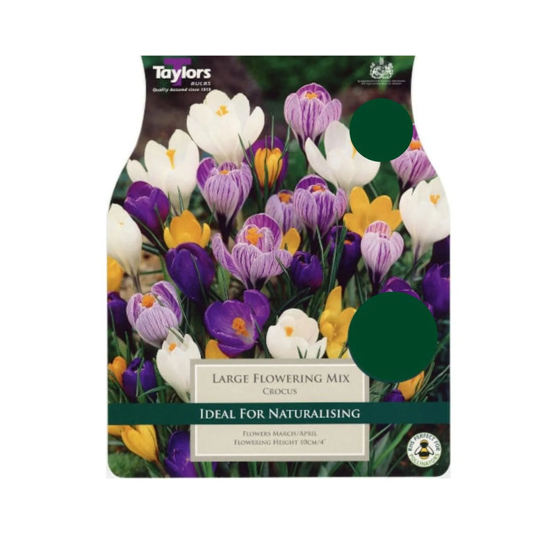 Crocus Mixed (10 pack)