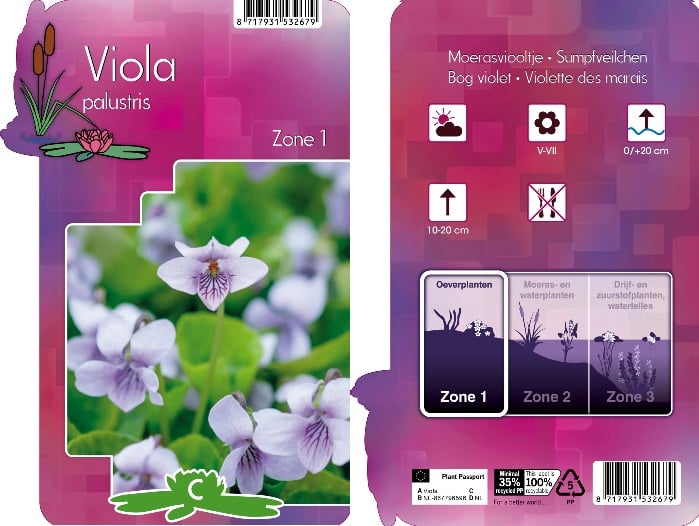 Viola palustris | Marsh Violet - P9