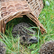 Esschert Hedgehog Shelter Basket