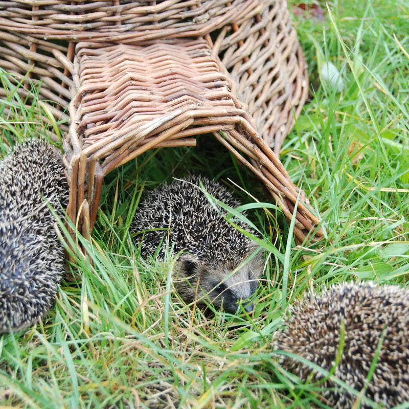 Esschert Hedgehog Shelter Basket