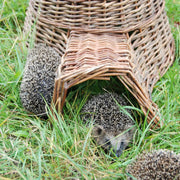 Esschert Hedgehog Shelter Basket