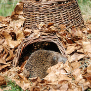 Esschert Hedgehog Shelter Basket