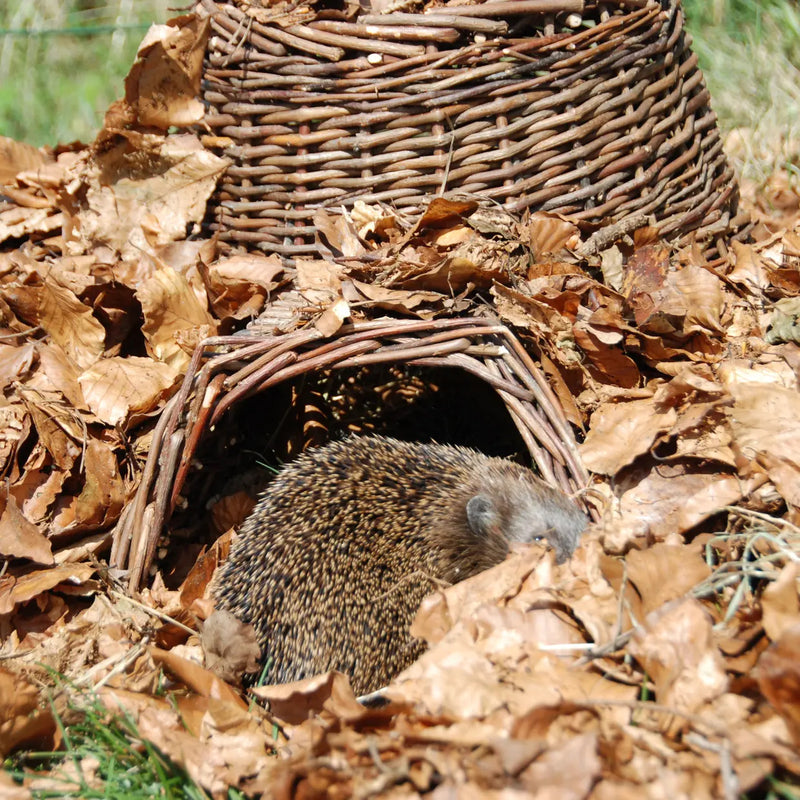 Esschert Hedgehog Shelter Basket