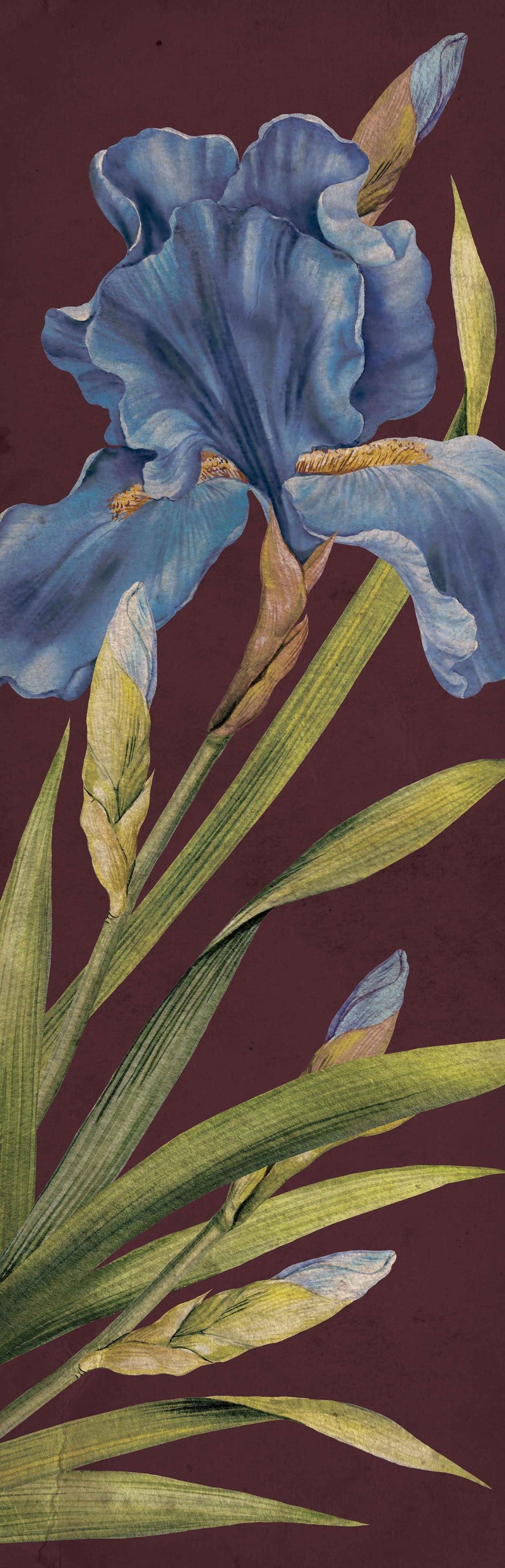 Wool Wrap Scarf - Iris by Powder showing the botanical print