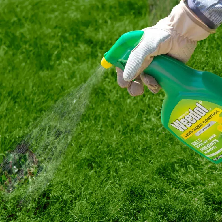 Weedol Lawn Weedkiller (Ready To Use Spray) 800ml