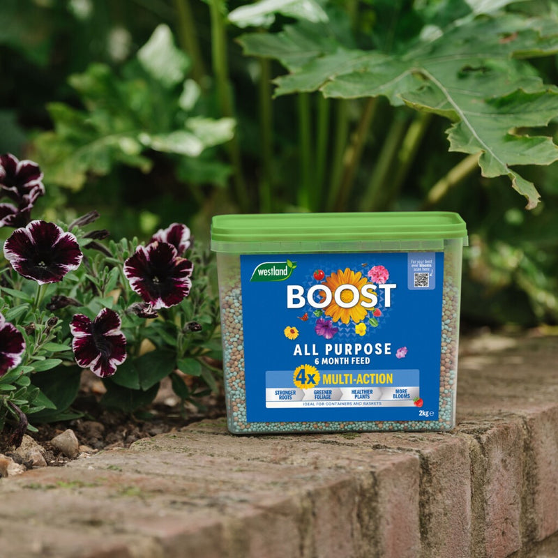 Westland Boost Slow Release Plant Food 2kg