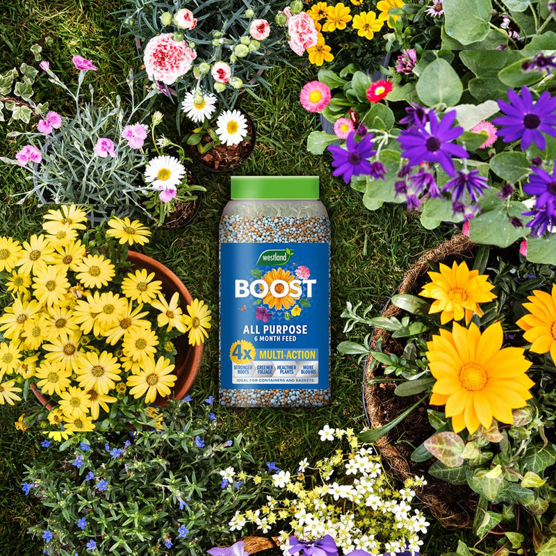 Westland Boost Slow Release Plant Food 750g