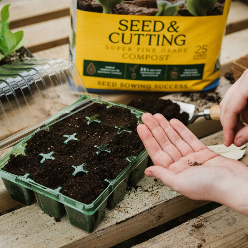 Westland Seed & Cutting Compost Pouch 10 Litre