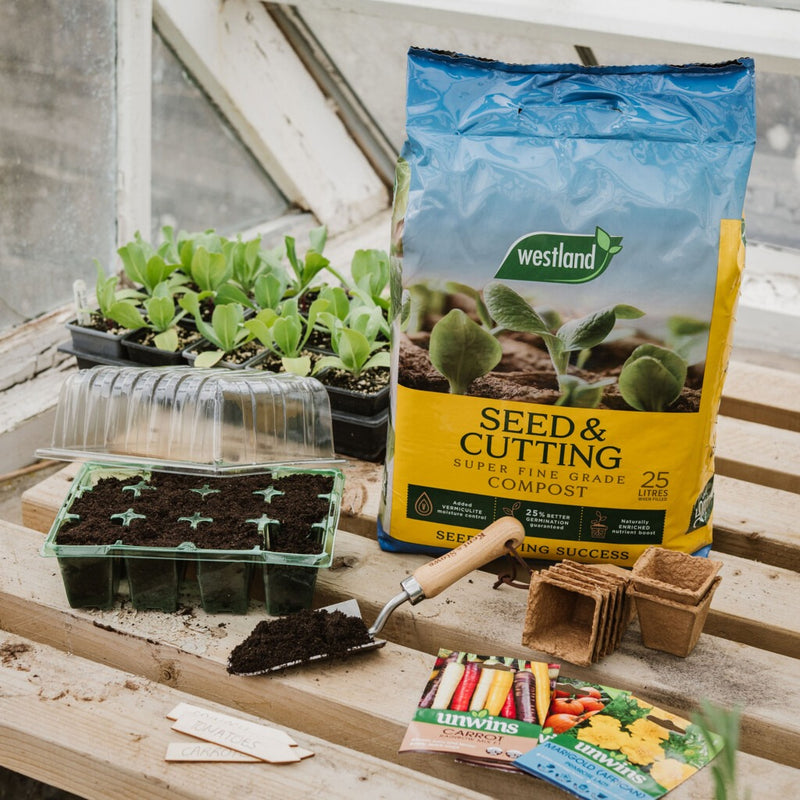 Westland Seed & Cutting Compost Pouch 10 Litre