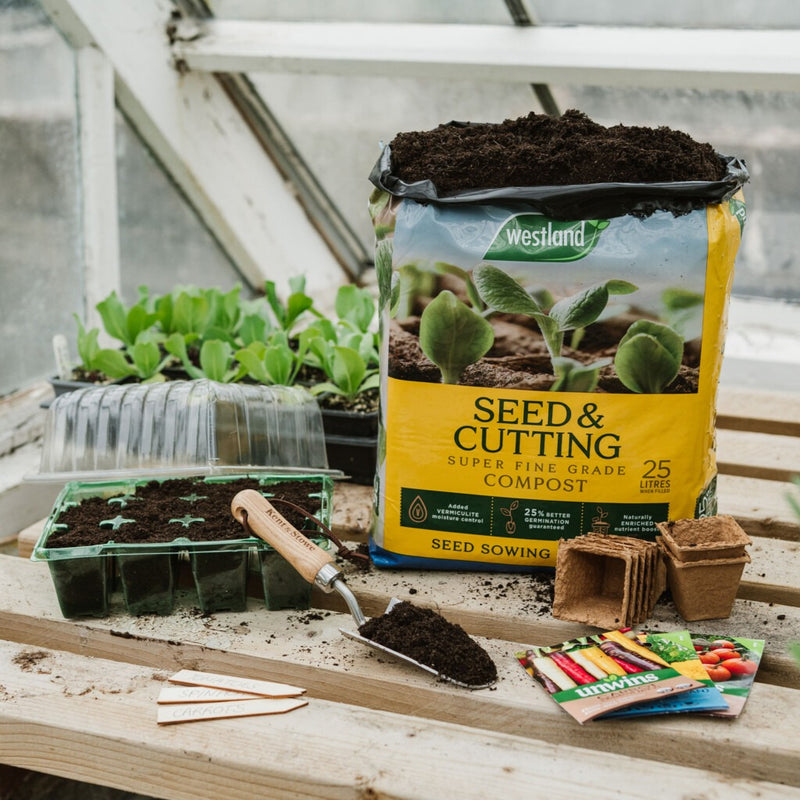 Westland Seed & Cutting Compost Pouch 10 Litre