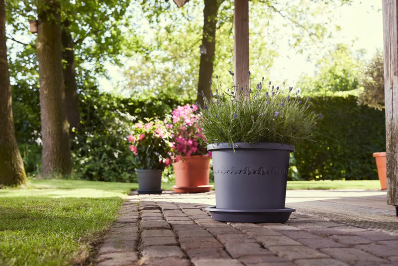 Algarve Cilindro 30cm Anthracite