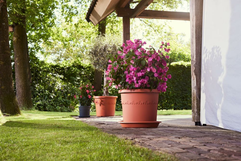 Elho Algarve Cilindro range – range lifestyle inspiration